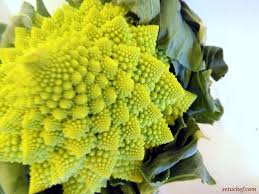 Romanescu